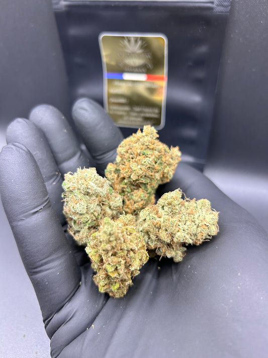 Pack Découverte CBD