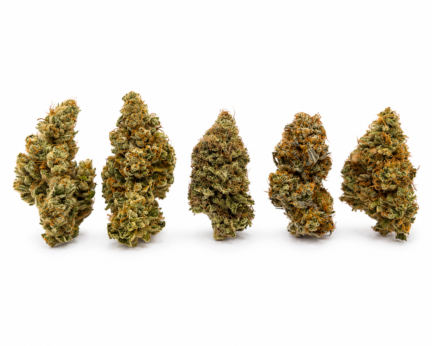 Pack Gourmand CBD