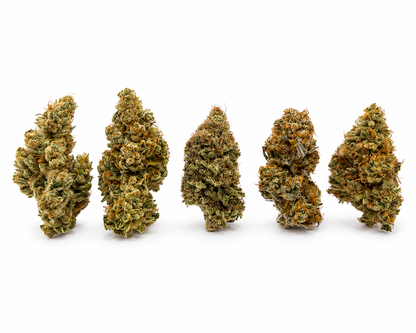 Pack Gourmand CBD