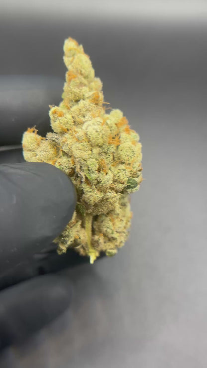 Pineapple snowcone #2