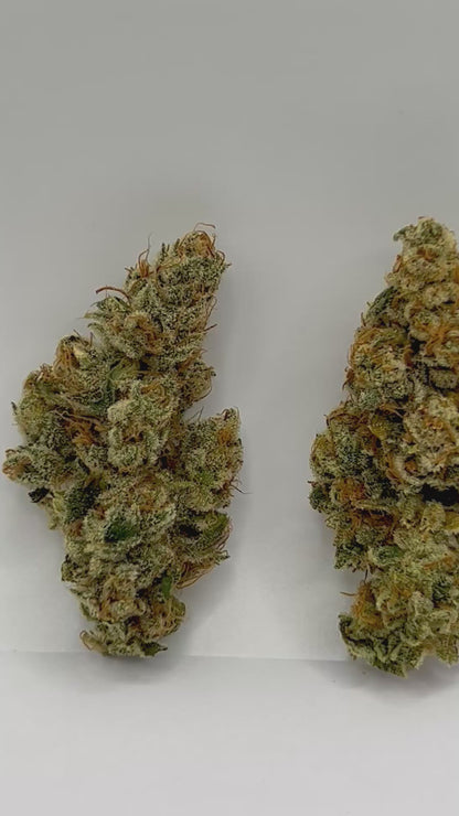 Pack Gourmand CBD