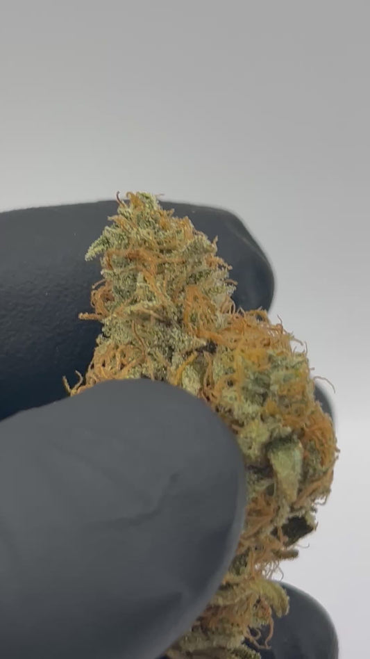 Pineapple snowcone #8