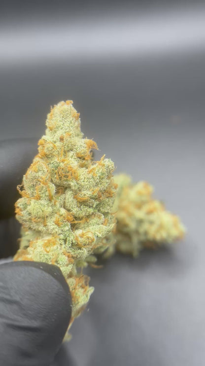 Pineapple snowcone #2